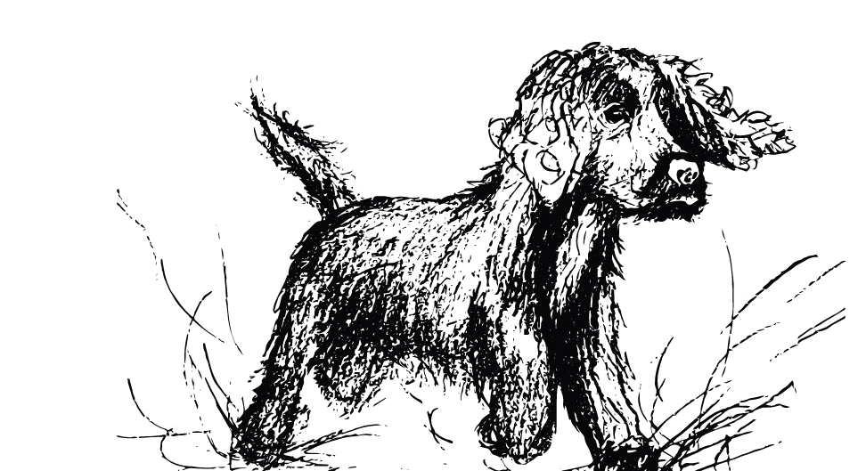 Hand-drawn illustration of Keith's dog